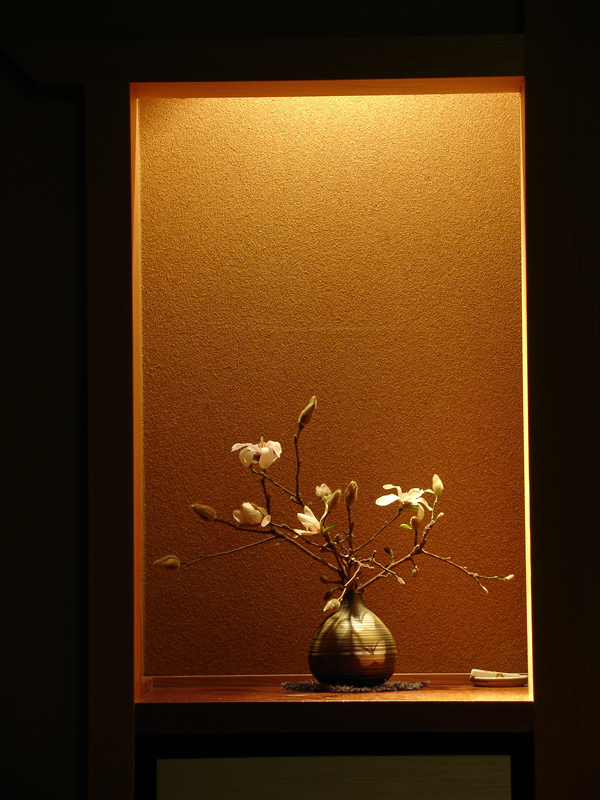 DSC00512 copy